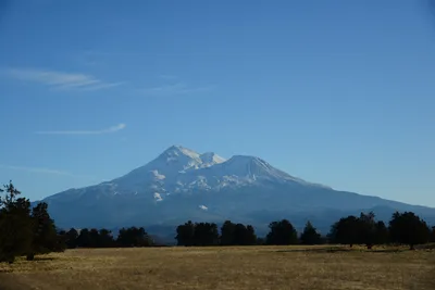 DSC_2988 (Large).JPG